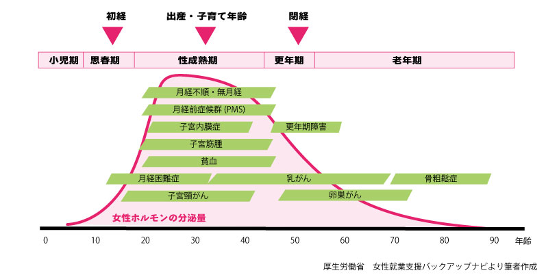 レディースドックが必要なのはなぜ？＜イメージ＞